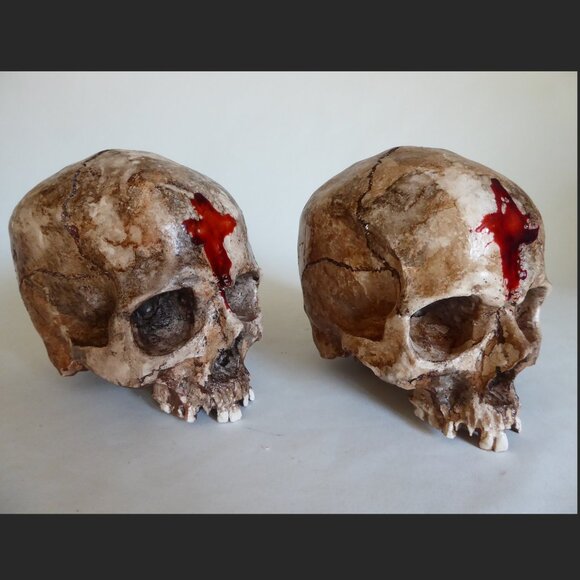 NEW ARTISAN HANDCRAFTED REALISTIC LIFE SIZE HUMAN SKULLS HALLOWEEN PROP ODDITY - Picture 2 of 16